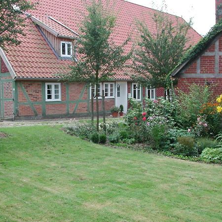 Ferienwohnung Am Elbdeich Bleckede Exterior foto