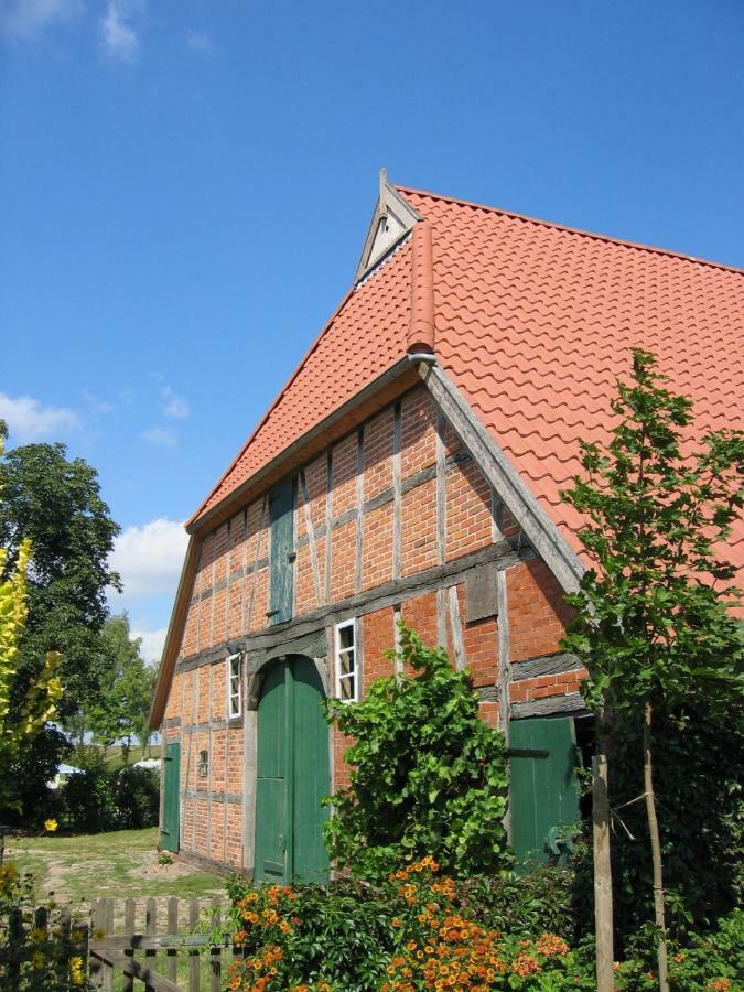 Ferienwohnung Am Elbdeich Bleckede Exterior foto